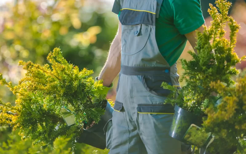 A gardener holding potted plants with two hands.